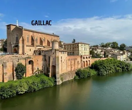 La Maison Rubis - Demeure Familiale Avec Piscine * Gaillac